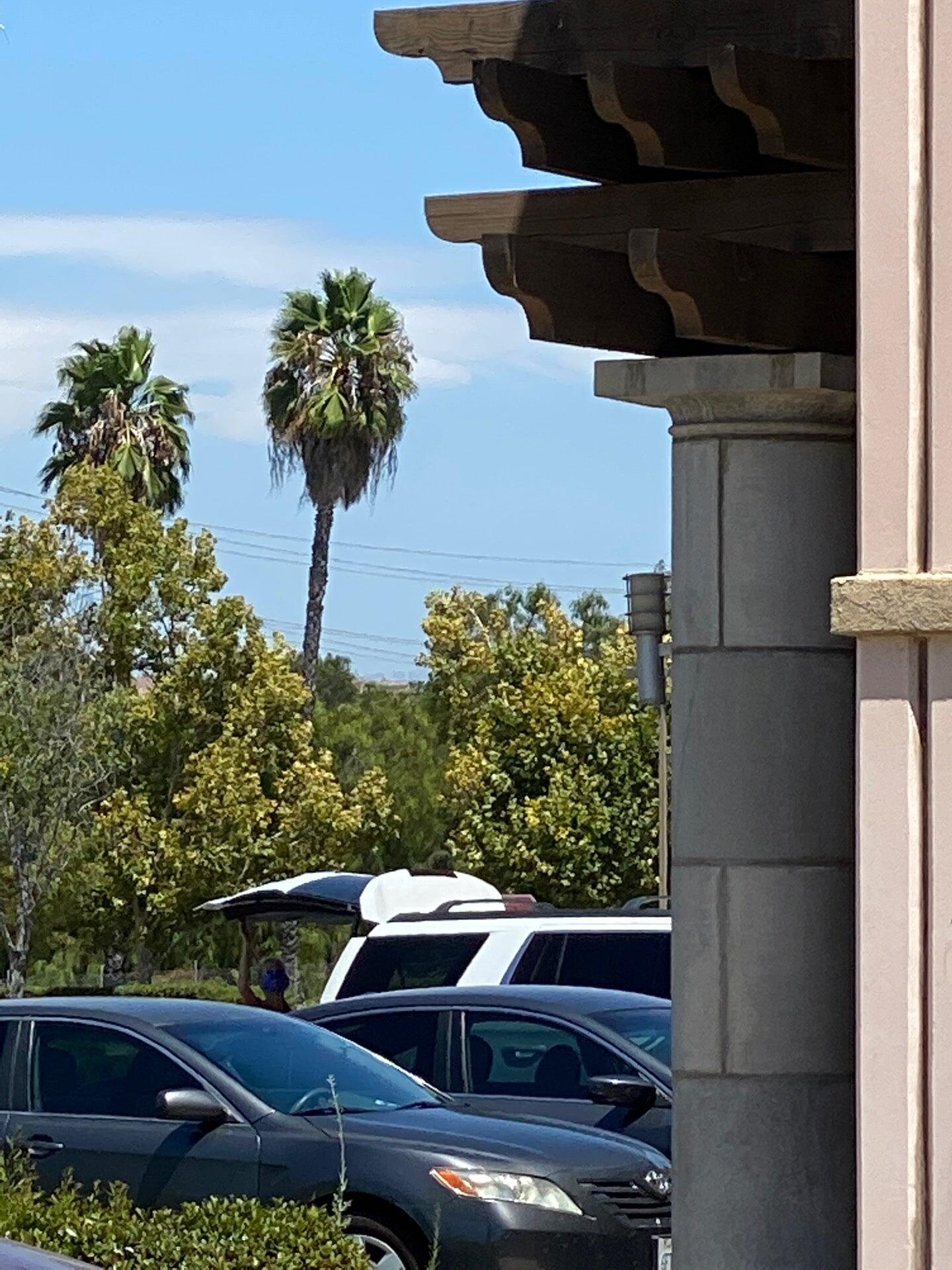 Fat Cat's Pizza Murrieta, CA Nextdoor