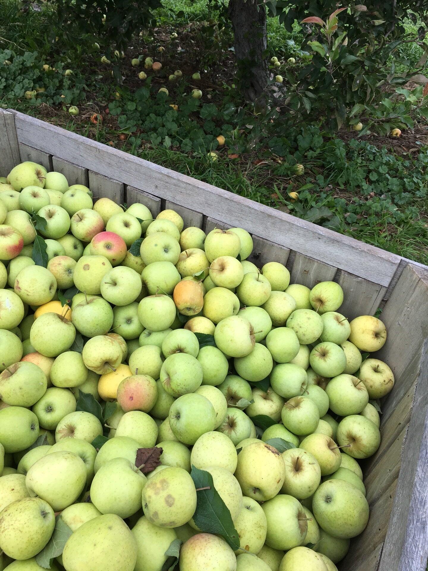 Miller Orchards - Amherst, OH - Nextdoor