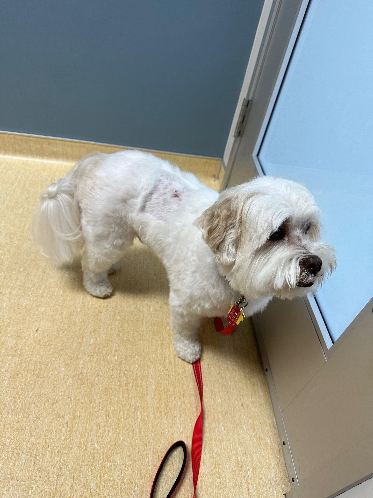 Friendship Animal Hosp Kalamazoo, MI Nextdoor