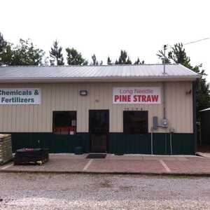 Pine Straw Long - Carolina Fresh Farms