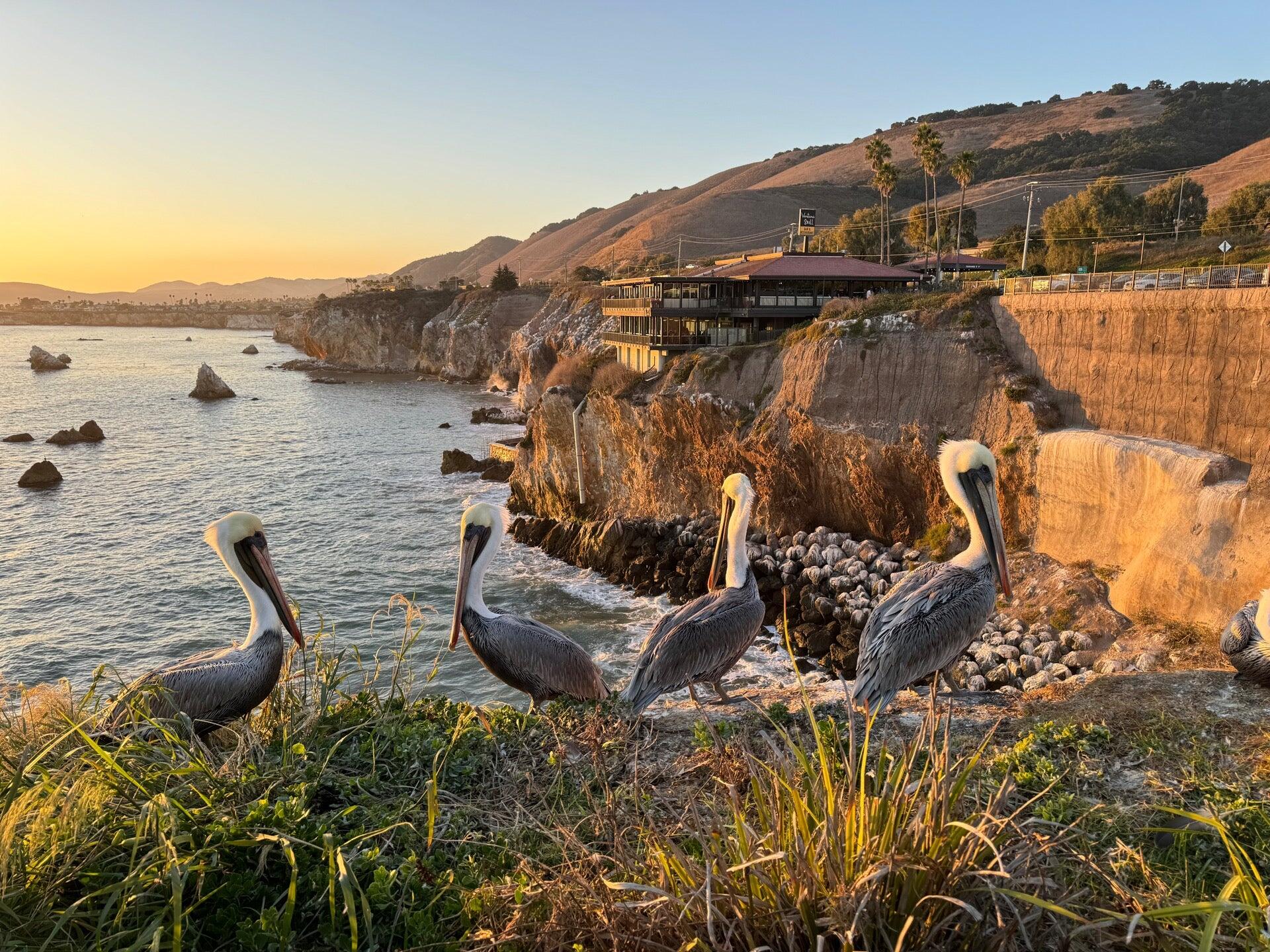 Ventana Grill - Pismo Beach, CA - Nextdoor