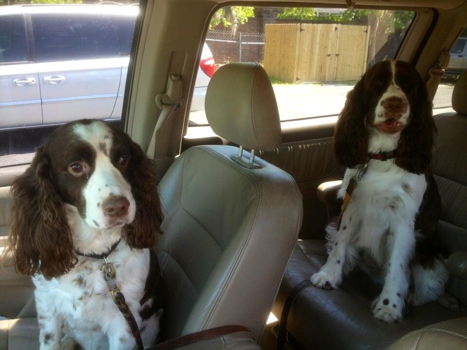 Sheldegren Pet Resort & Salon