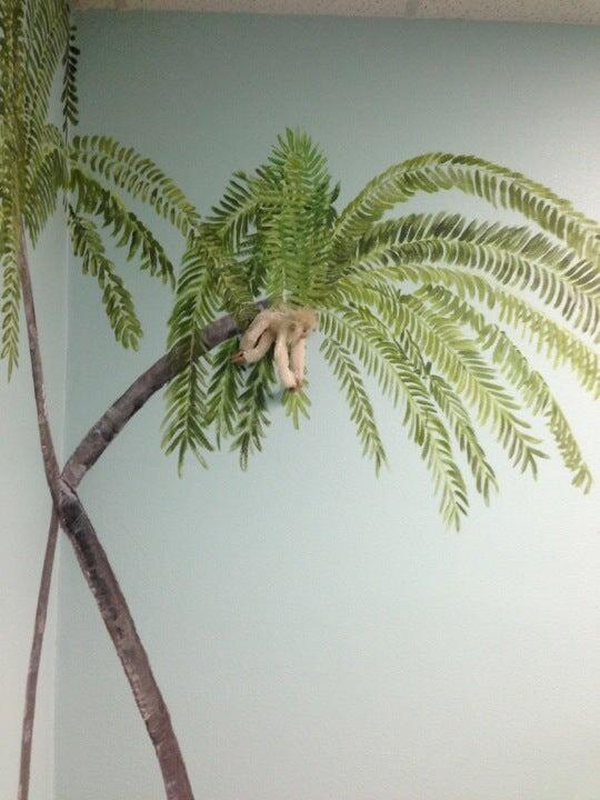 River Road Pet Grooming