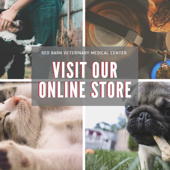 Red Barn Veterinary Medical Center Howell, MI Nextdoor