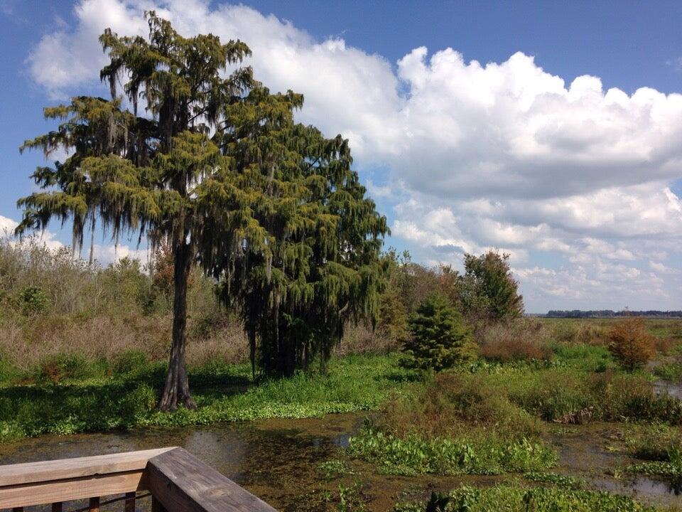 Lakeside Restaurant & Lounge Orange Lake, FL Nextdoor