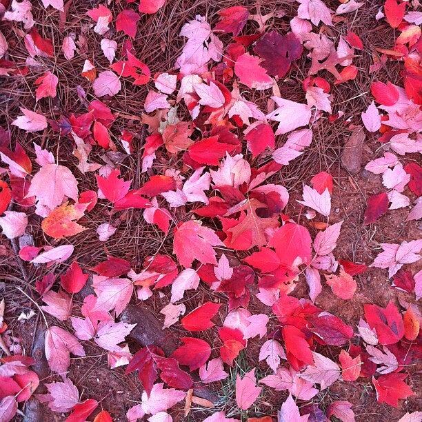 Arbors of Brentwood Apartment Homes Nashville, TN Nextdoor