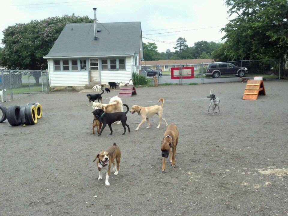Apple Dog Daycare, Lodging and Grooming Glen Allen, VA Nextdoor