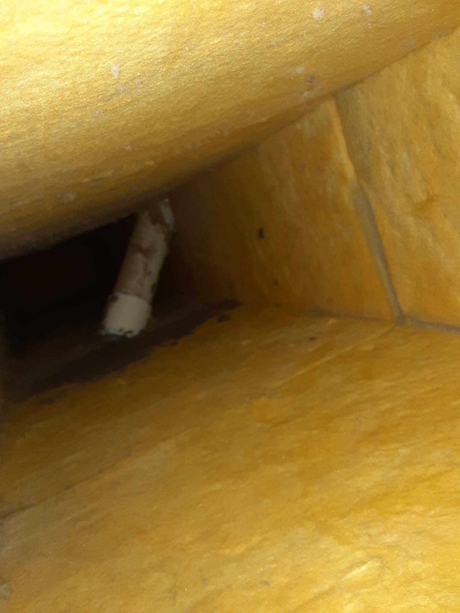 duct guys llc