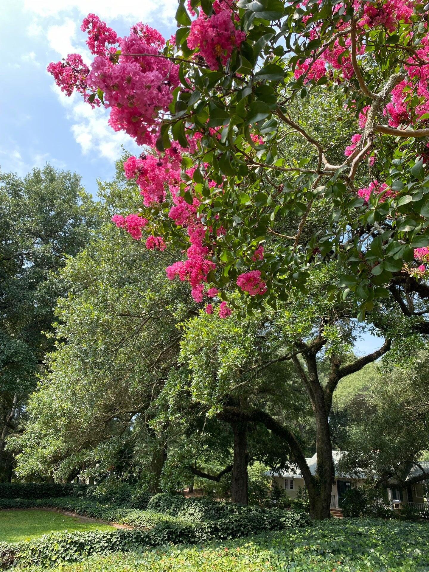Carolina Heart and Vascular Center Aiken, SC Nextdoor