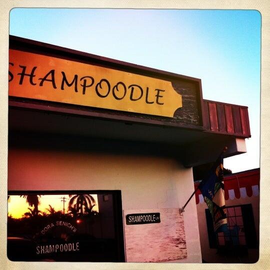 Dora Senich's Shampoodle