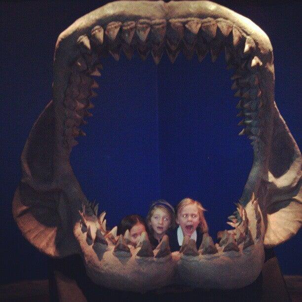 The Aquarium Sandy, UT Nextdoor