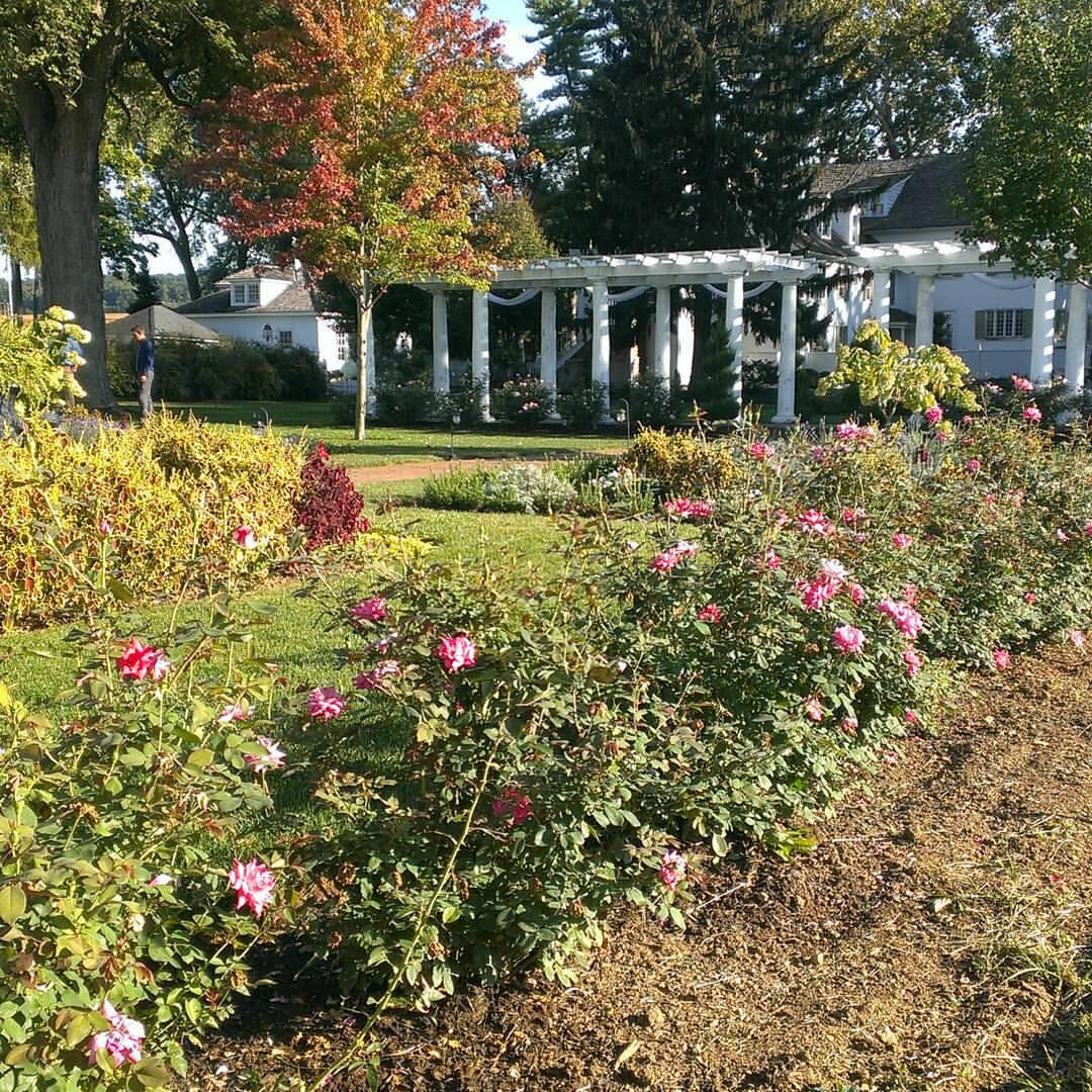 White Chimneys Gap, PA Nextdoor