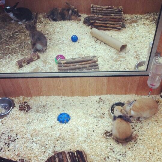 Pets at Home WestonSuperMare Nextdoor