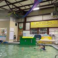 Open Swims  Farber Swim School