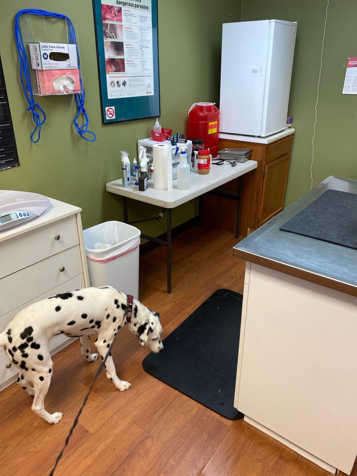 Cvs Pet Shot Clinic - ofuvsuu