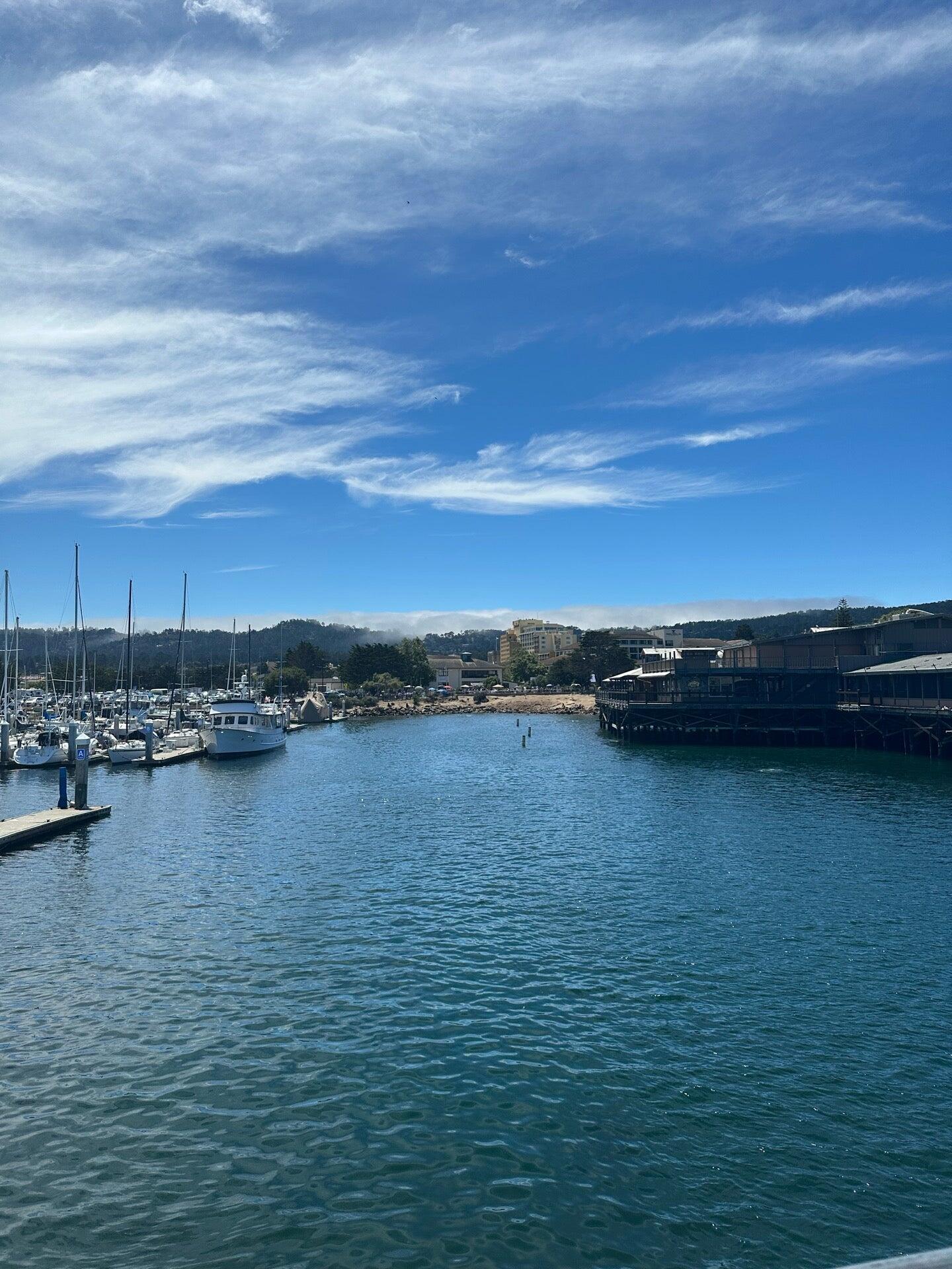Monterey Bay Whale Watch - Monterey, CA - Nextdoor