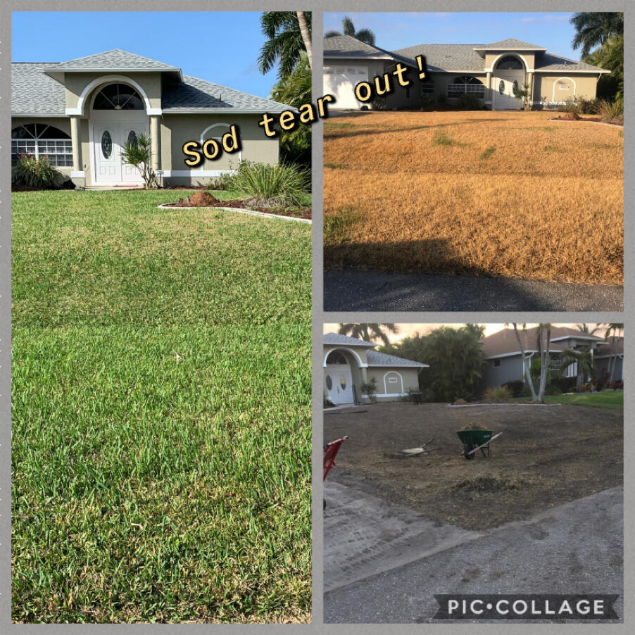 Hodges Landscaping & More LLC Cape Coral, FL Nextdoor