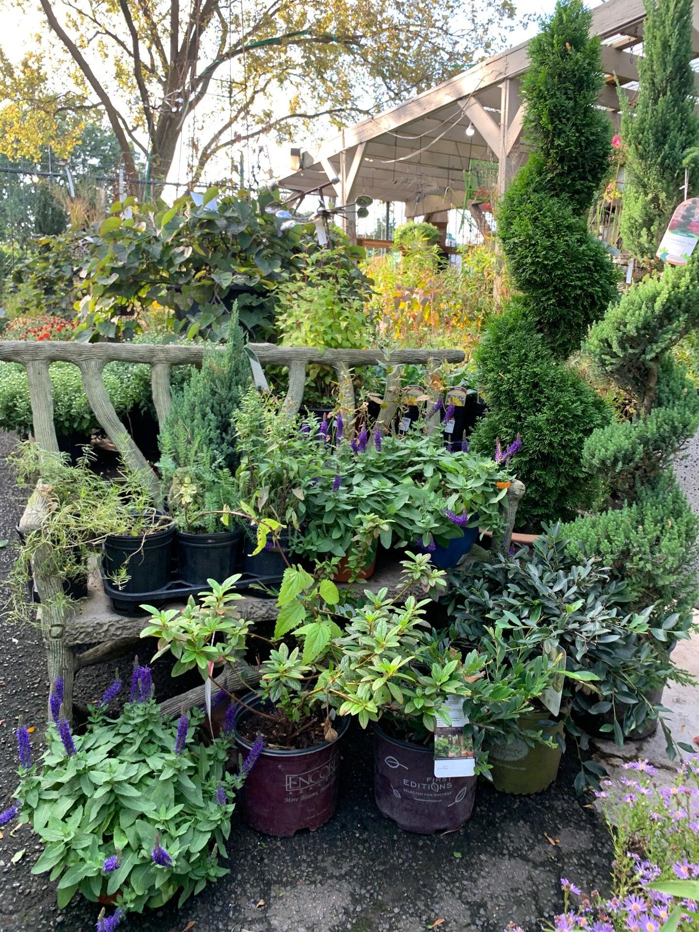 Ginkgo Gardens - Washington, DC - Nextdoor