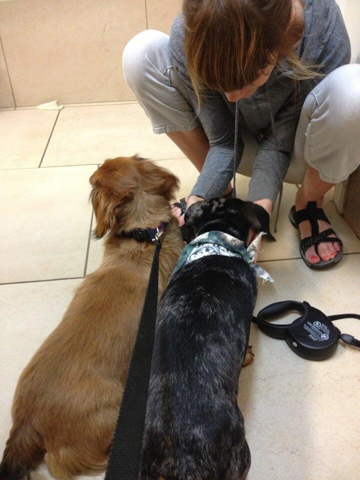 Crabapple Knoll Veterinary Clinic Alpharetta, GA Nextdoor