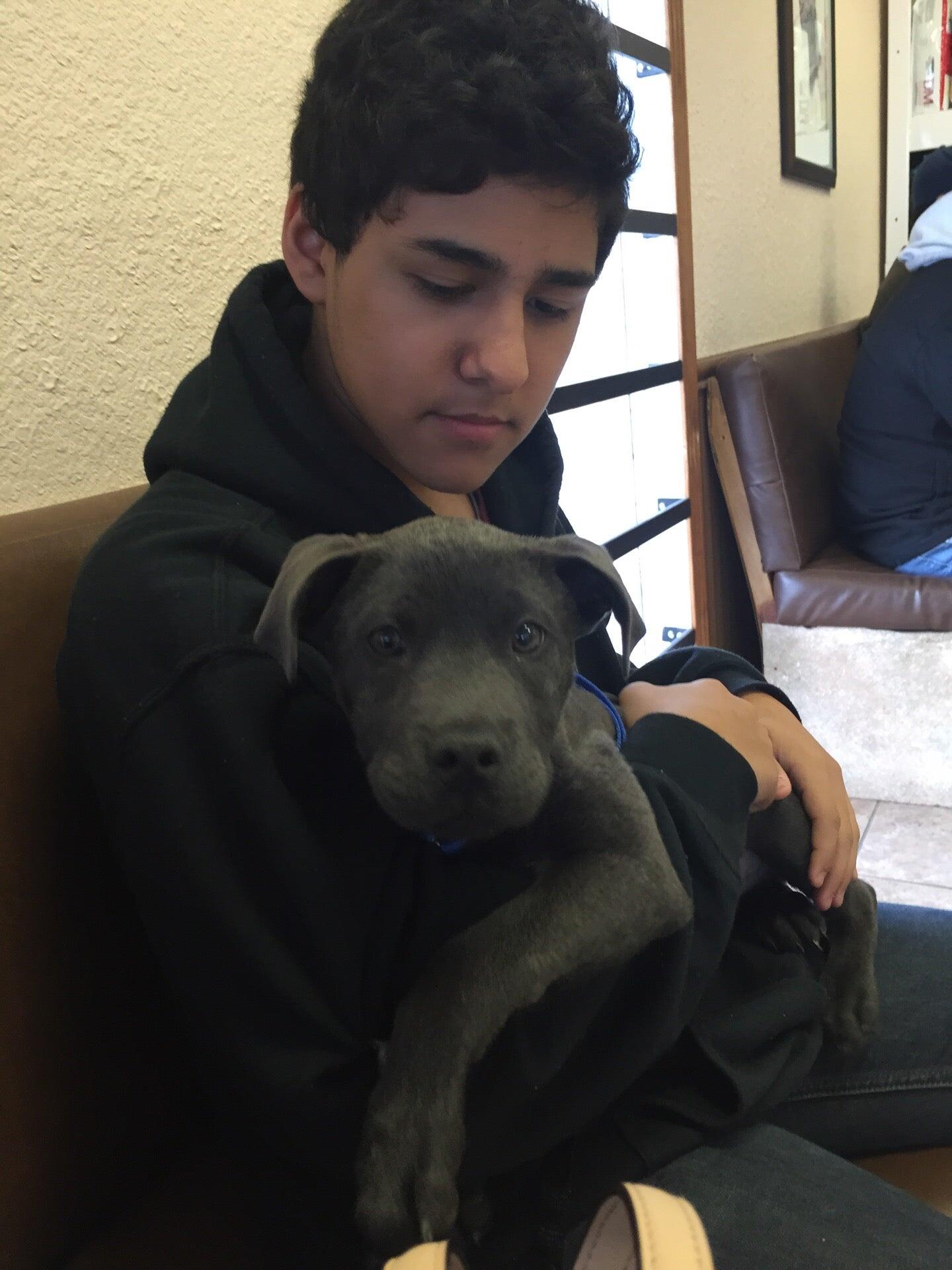 Gulfgate Animal Hospital Houston, TX Nextdoor