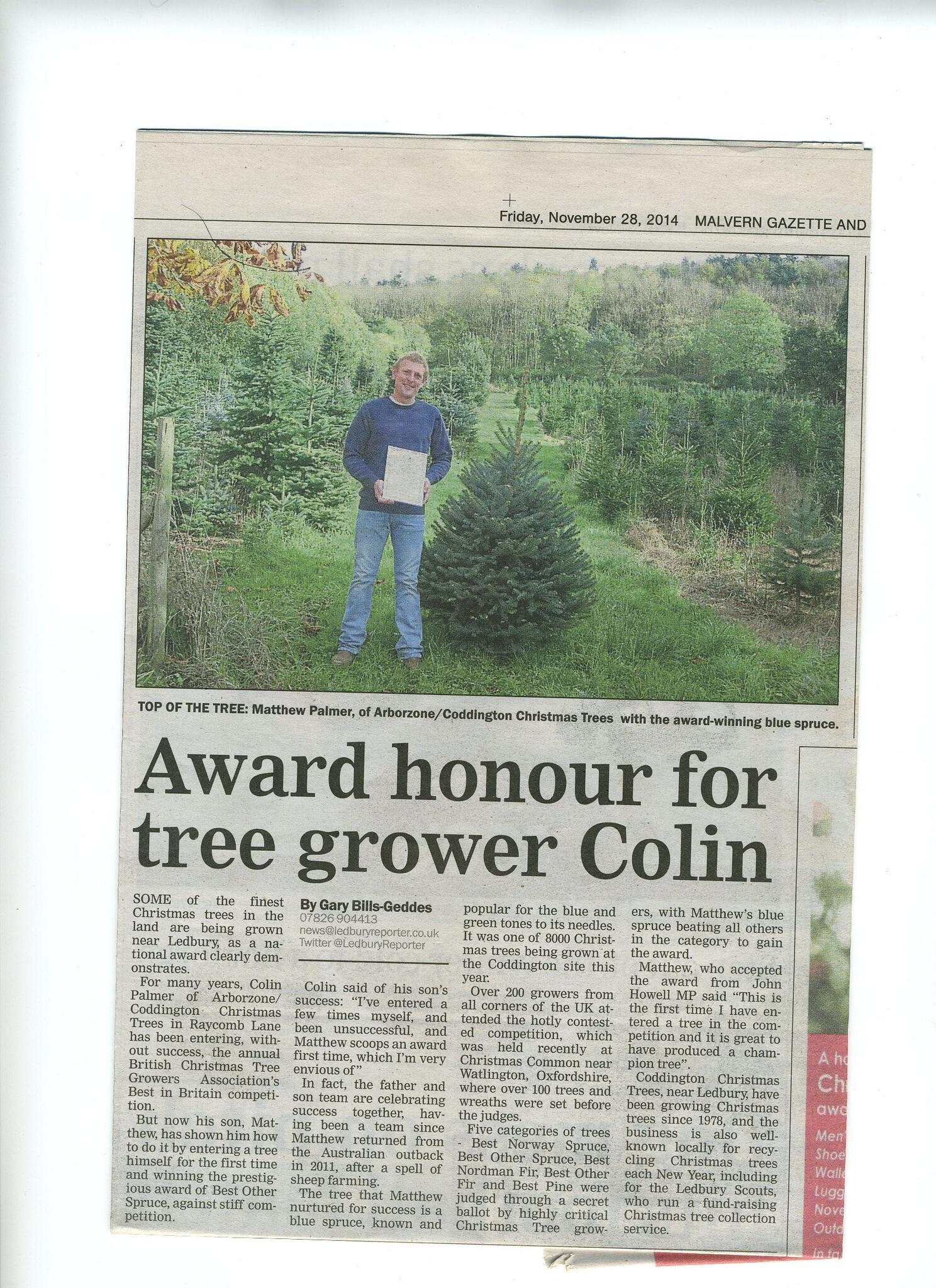 Pinewood Christmas Tree Plantation Hartlebury Nextdoor