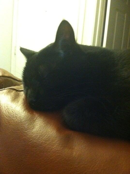 Summit Ridge Apartments Lewisville, TX Nextdoor