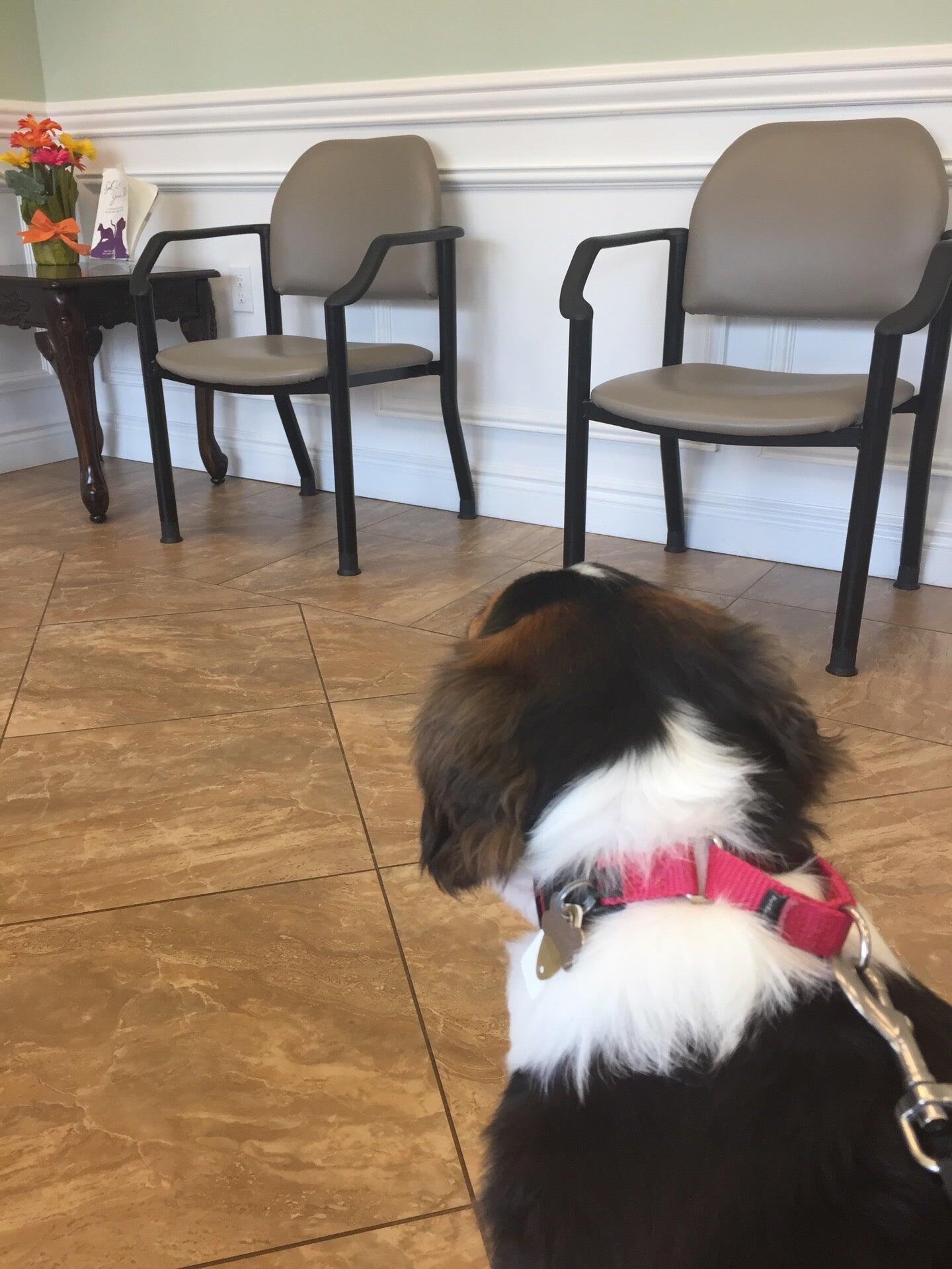 Animal Hospital of Hasbrouck Heights Hasbrouck Heights, NJ Nextdoor