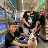 Pet Supplies Plus New Windsor NY New Windsor NY Nextdoor