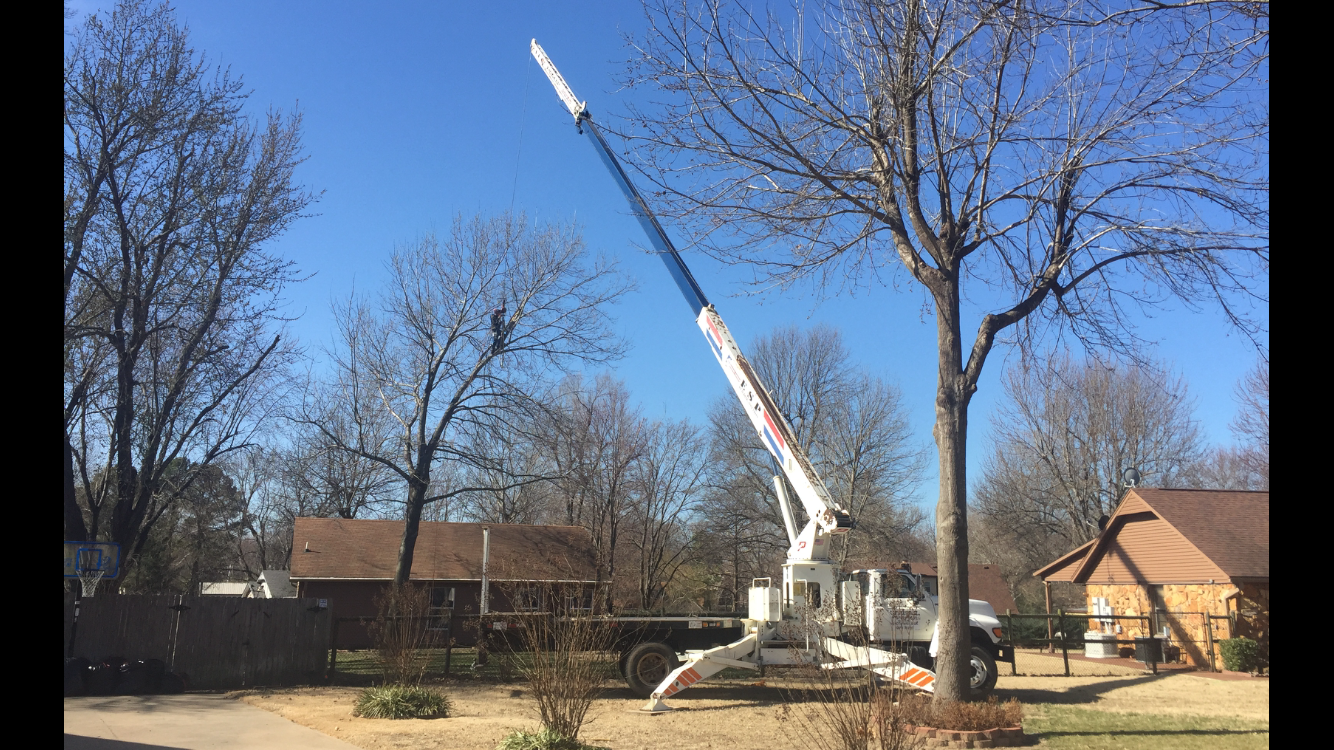 T and M Tree Service Tulsa - Broken Arrow, OK - Nextdoor