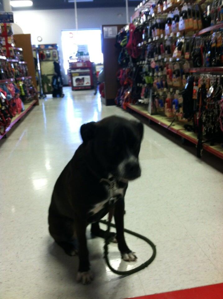 Petco