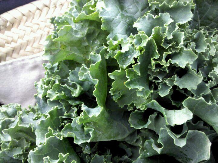 Mission Viejo Farmers Market - Mission Viejo, CA - Nextdoor