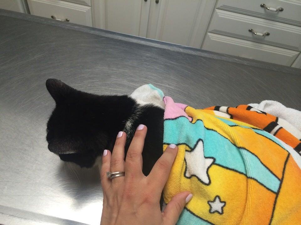 Raccoon Valley Animal Hospital Mullica Hill, NJ Nextdoor