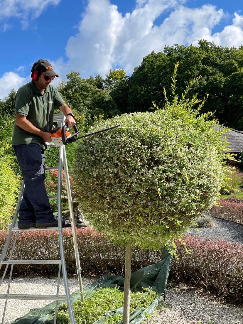 Meon Valley Garden Services Petersfield Nextdoor