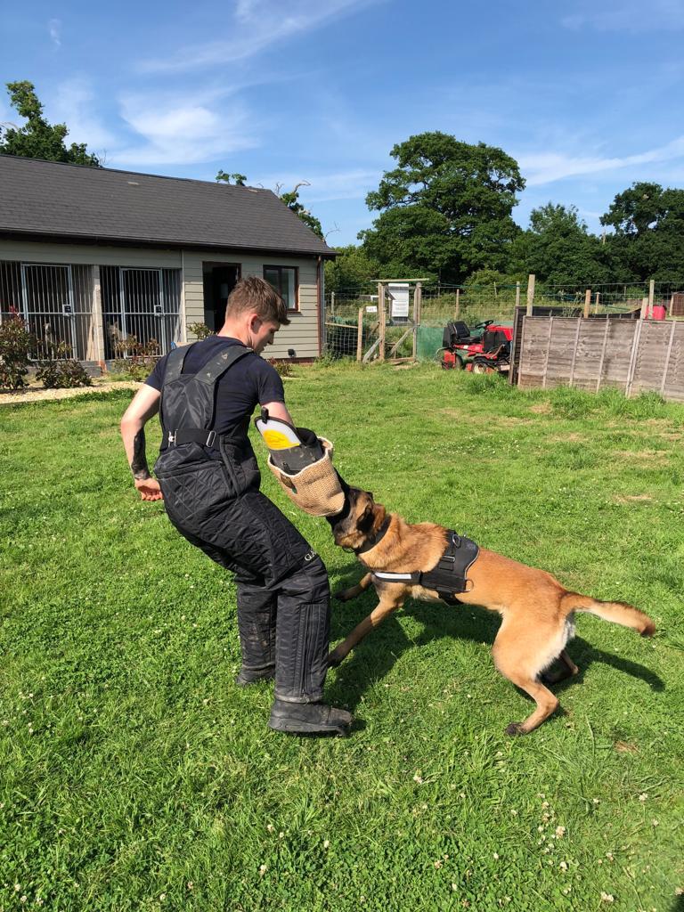 Hampshire Dog Club Nursling Nextdoor