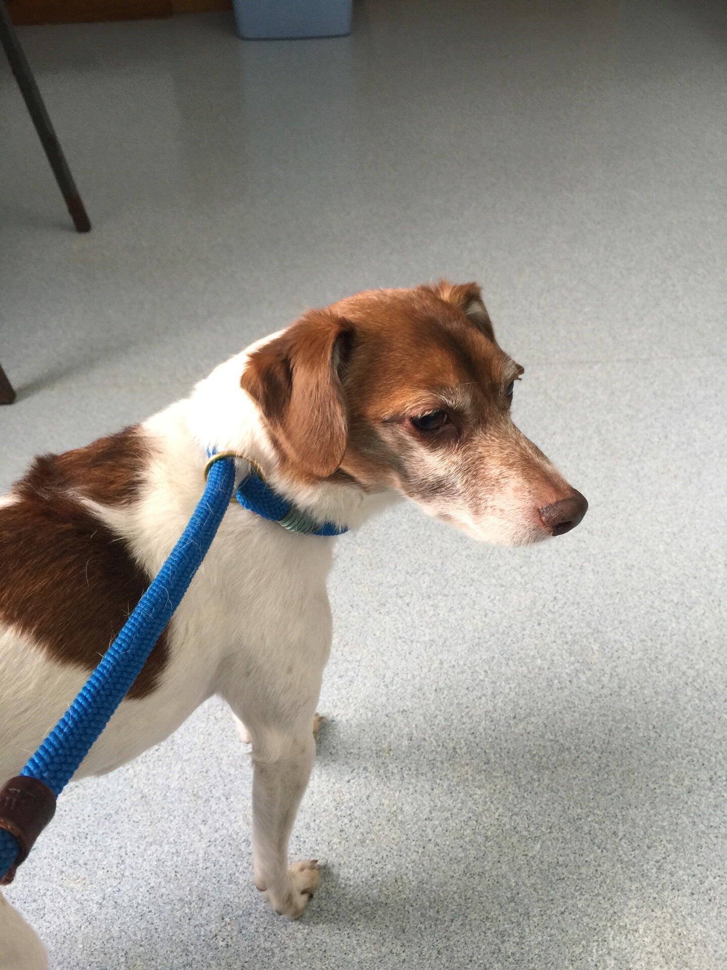 Lakeside Veterinary Clinic