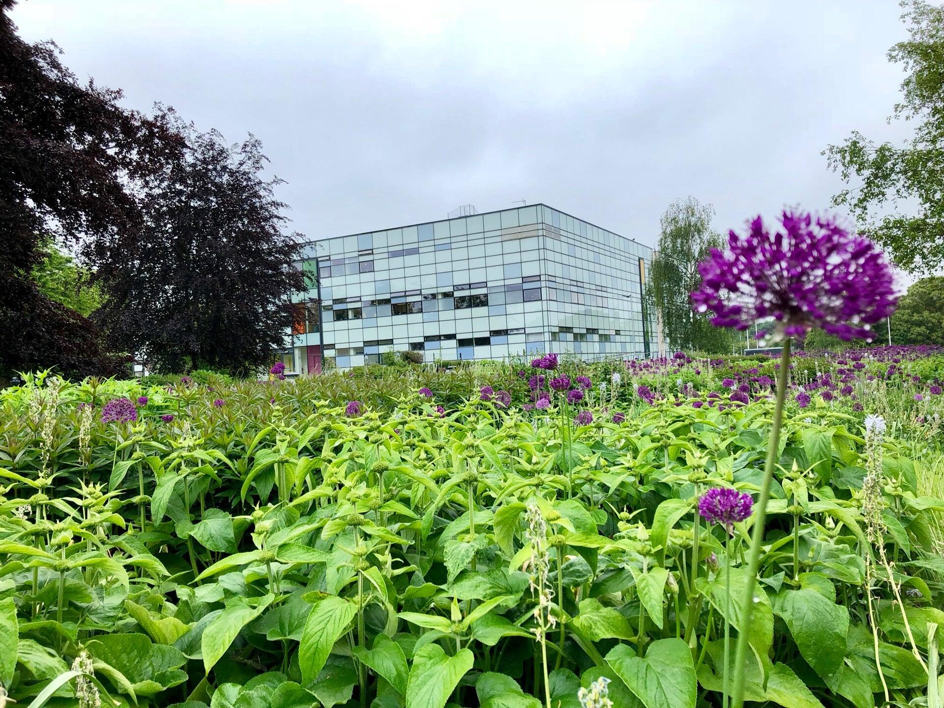 Open University Library Walton Nextdoor open-university-library-walton-nextdoor