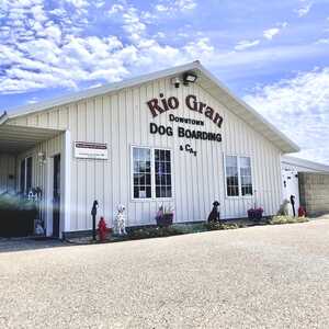 Rio gran online dog boarding