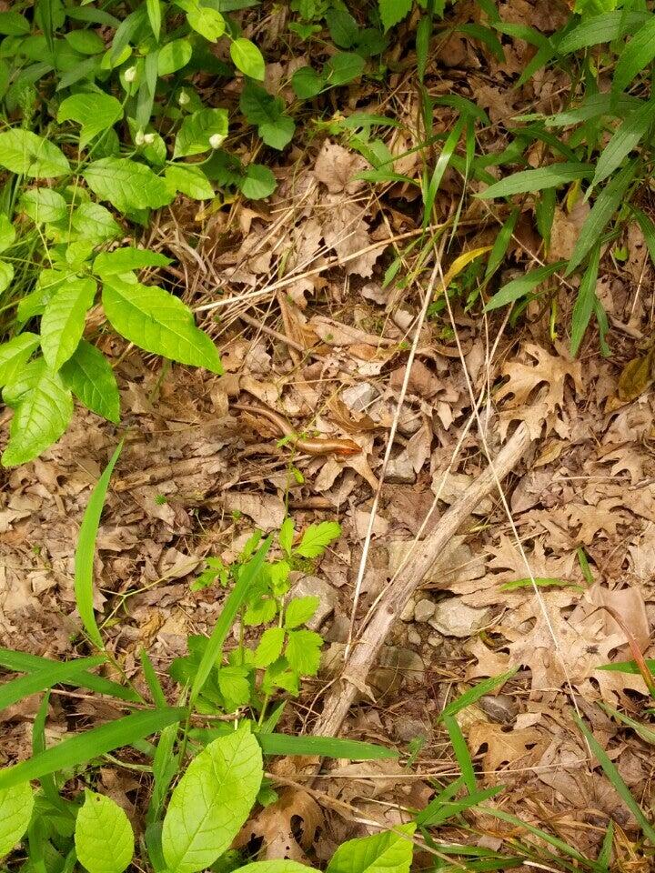 Gunpowder Creek Nature Park Burlington, KY Nextdoor