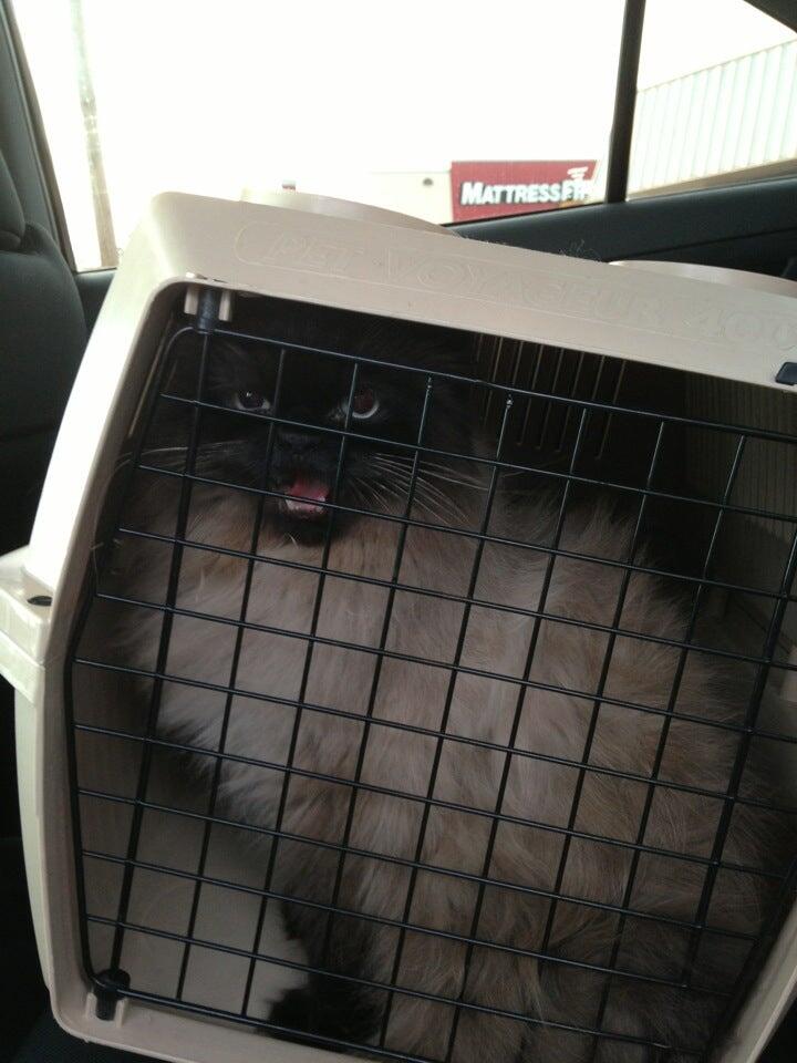 Greystone Pet Hospital Bowling Green, KY Nextdoor