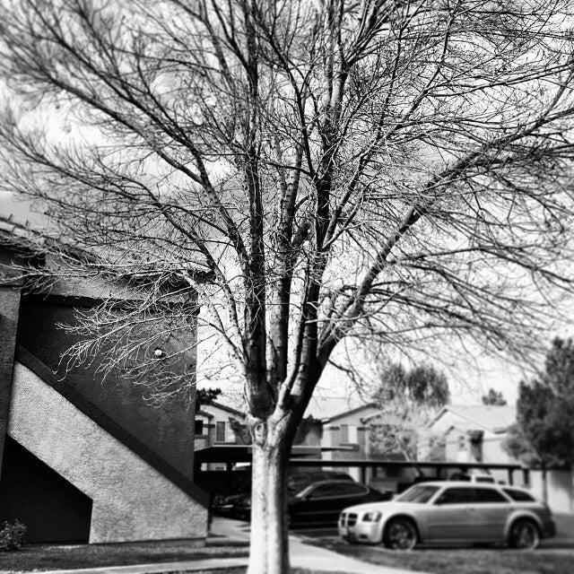 American Pacific Drive & Stephanie Street Nextdoor