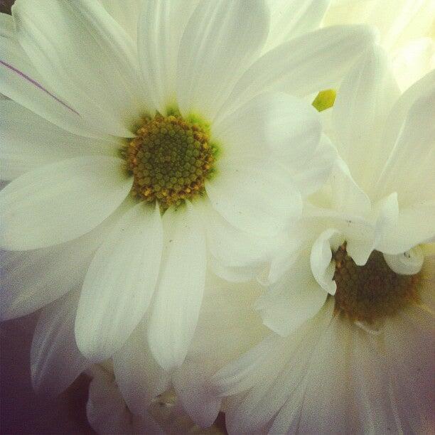 The Flower Cart, Inc Chesterton, IN Nextdoor