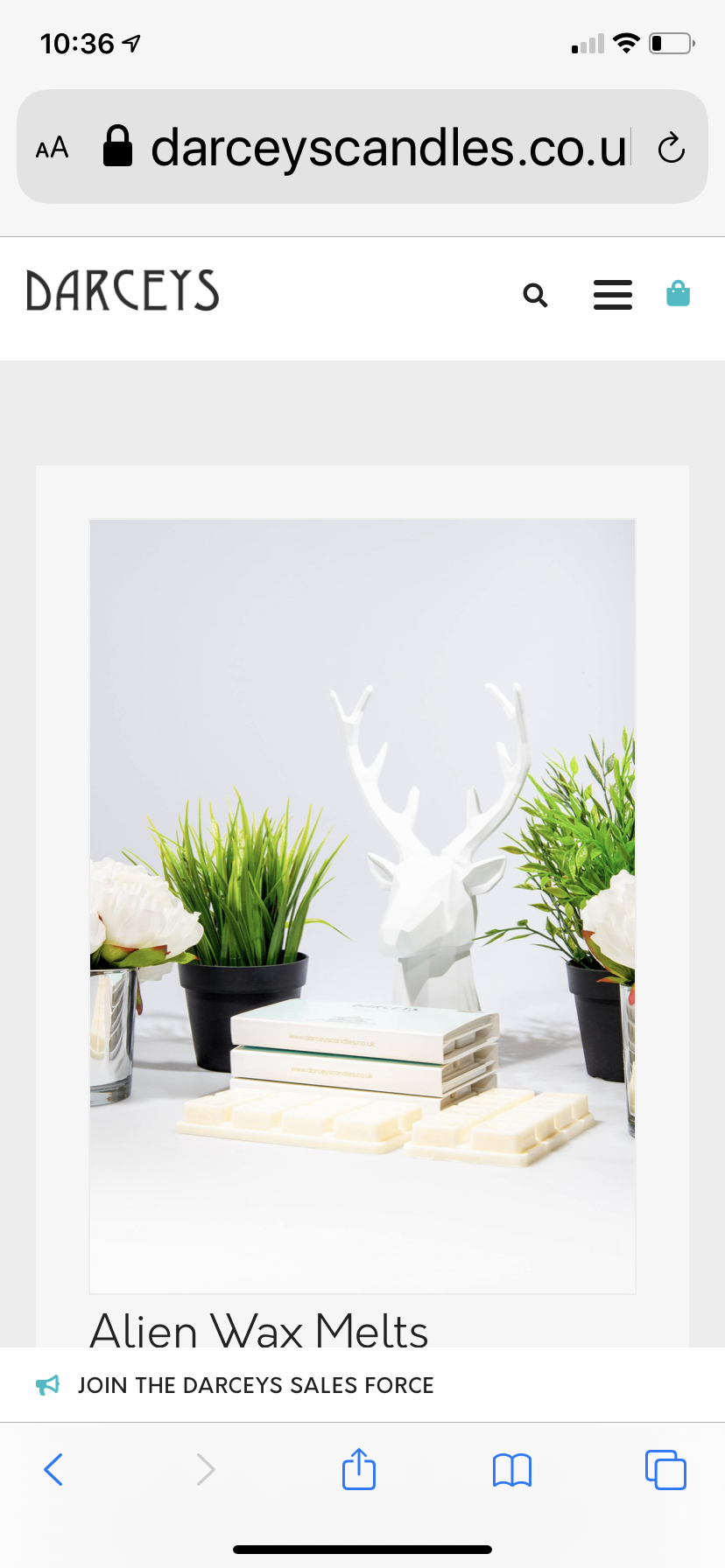 Ashley’s Darceys Rhyl Nextdoor