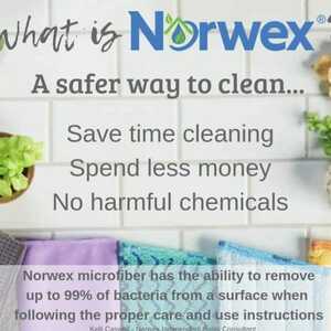 I'm a Norwex Consultant! - Kay's Place