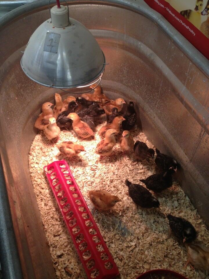 BOMGAARS Sioux City, IA Nextdoor