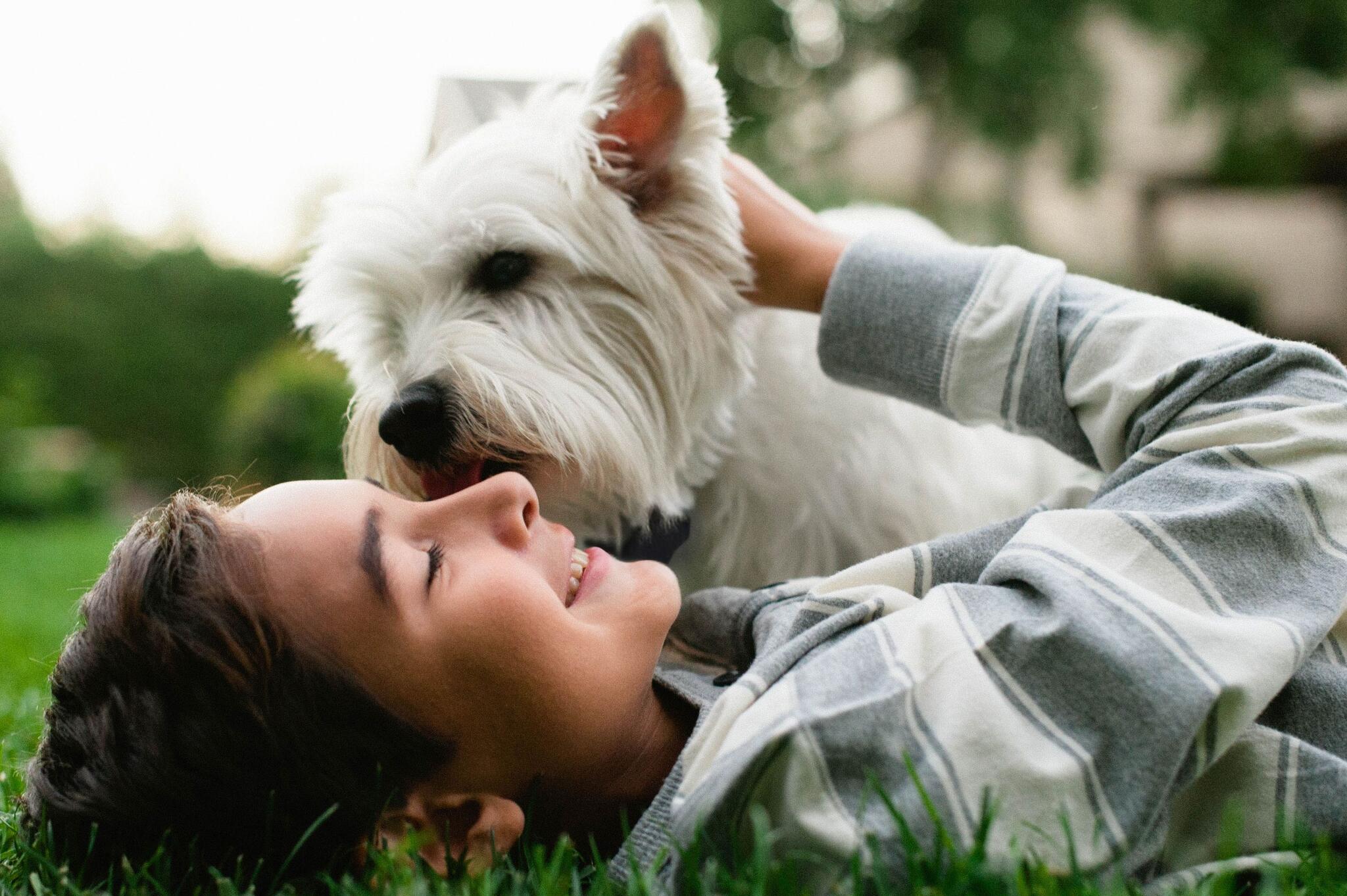 Invisible Fence Greensburg, PA Nextdoor
