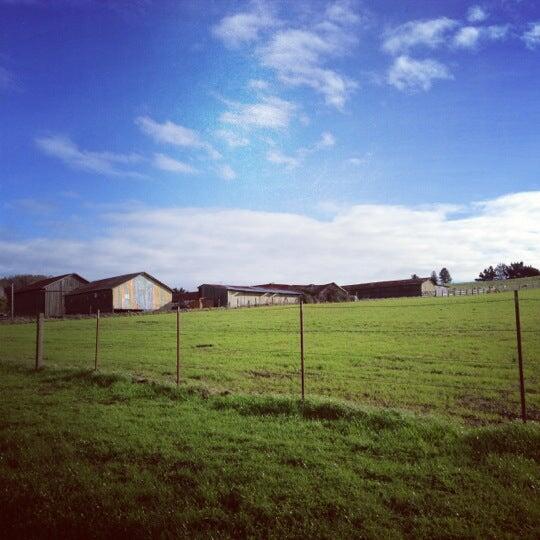 Two Rock Dog Ranch