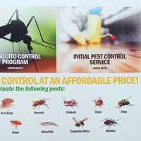 We Kill Bugs Pest Elimination We Kill Bugs Pest Elimination