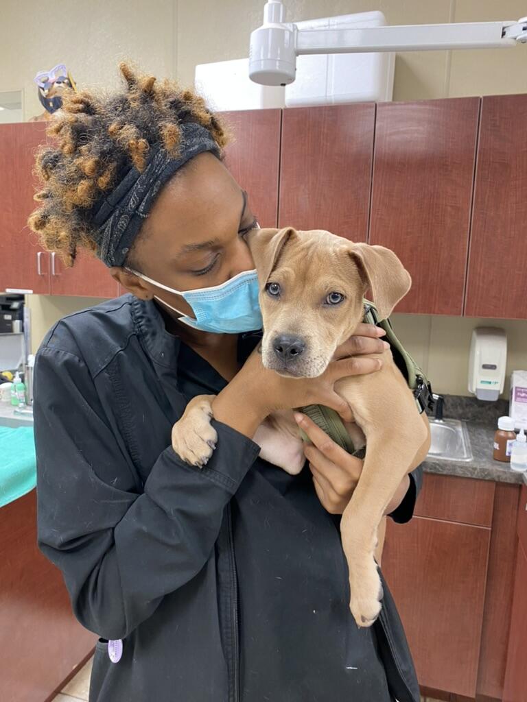 First Coast No More Homeless Pets - Jacksonville, FL - Nextdoor