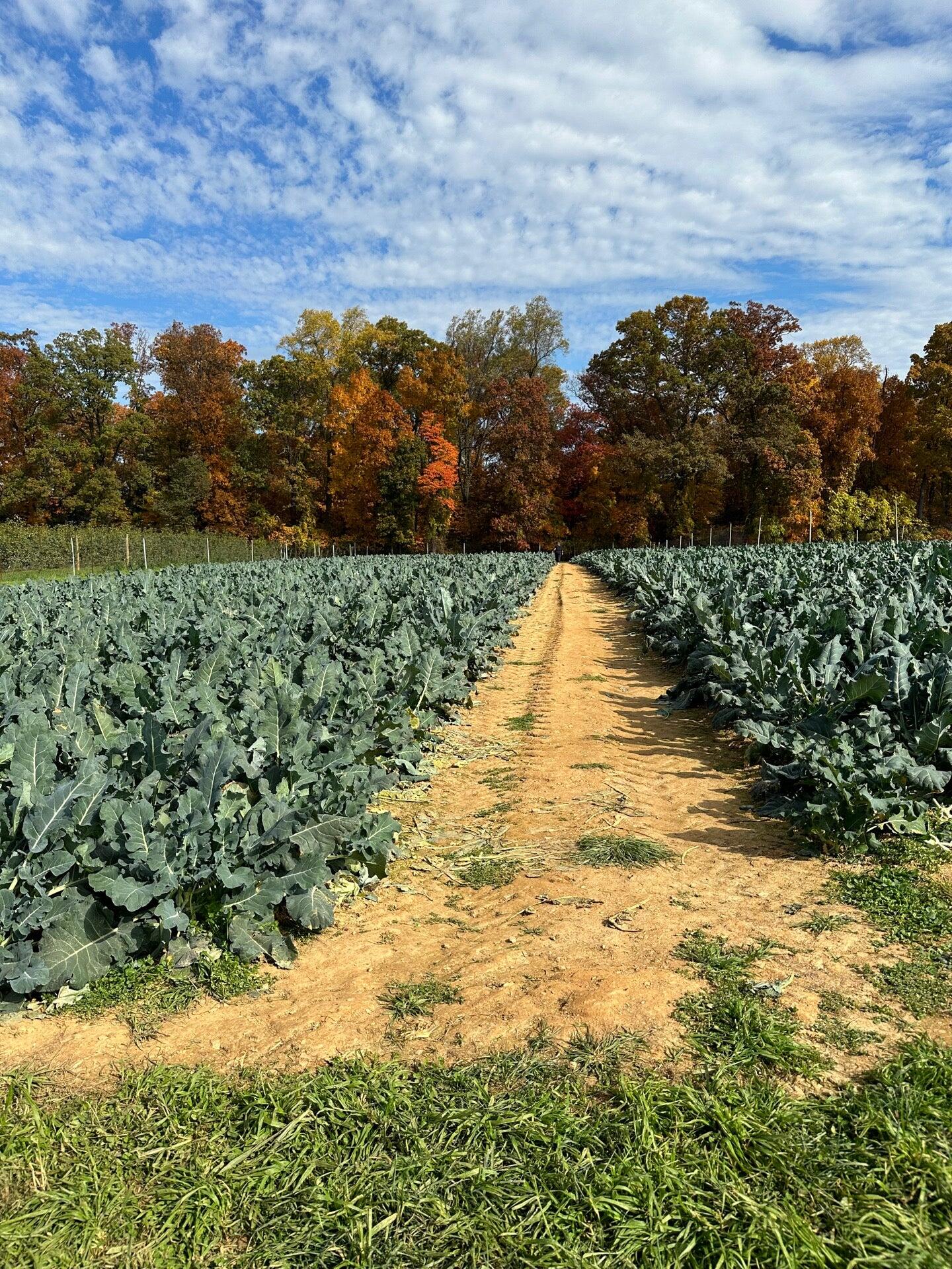 Larriland Farm - Woodbine, MD - Nextdoor
