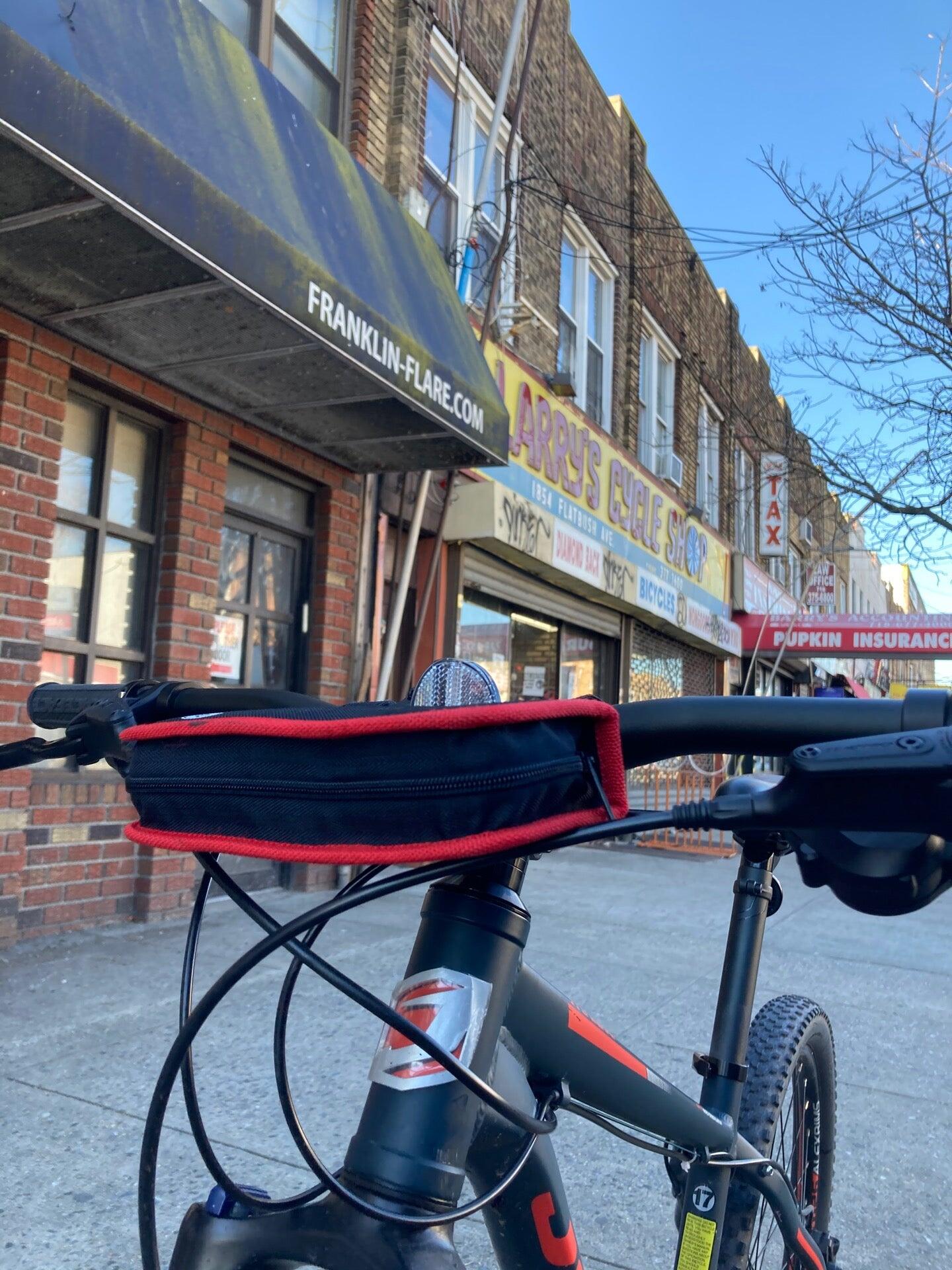 Larry's bike 2025 shop flatbush